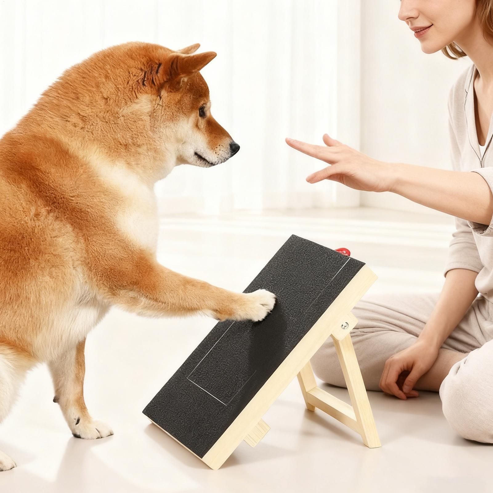 لوح تجليخ أظافر الكلاب مع صندو - مراجعة Pet Nail Grinder وسعره