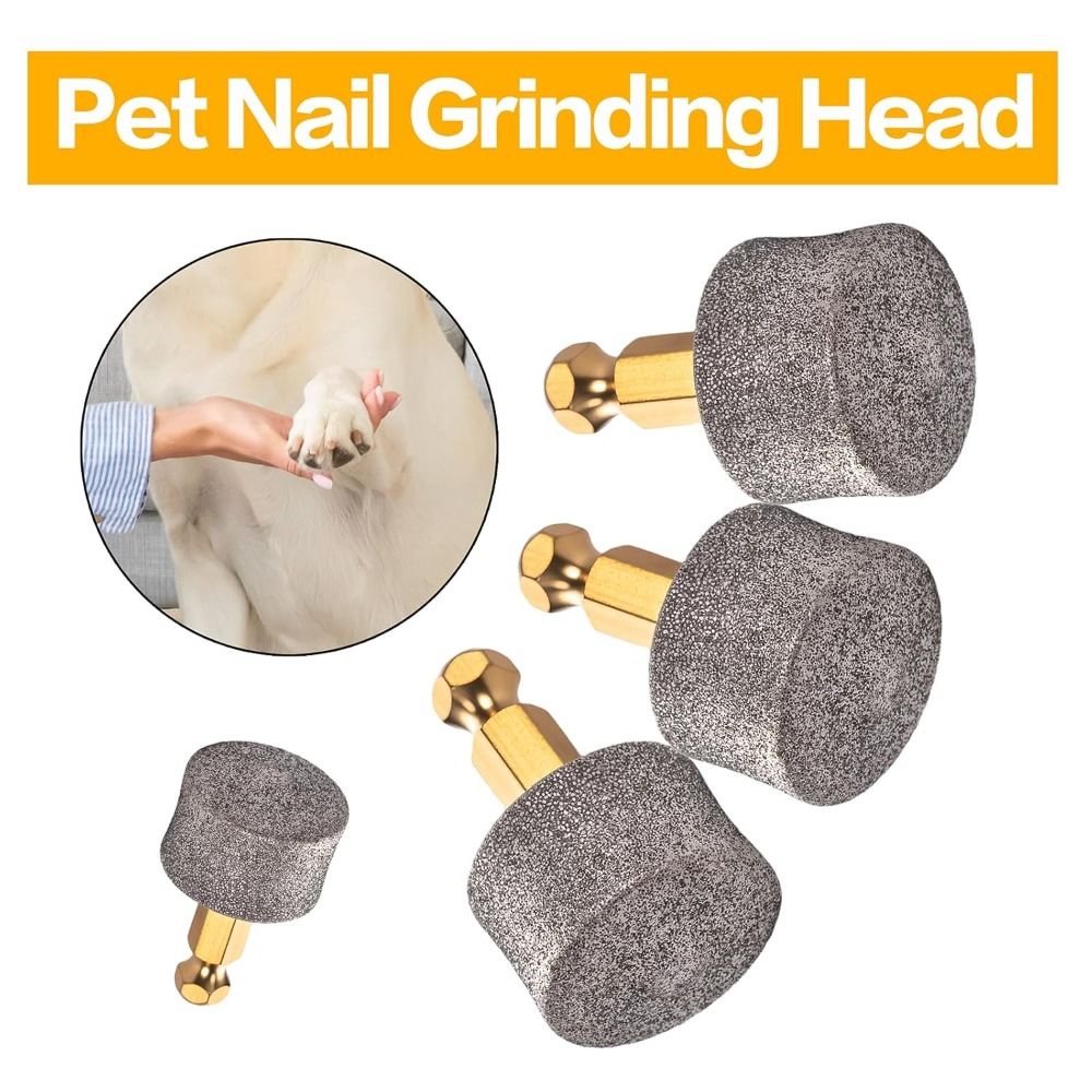 قطعتان من رؤوس مبرد أظافر الكل - مراجعة Pet Nail Grinder وسعره