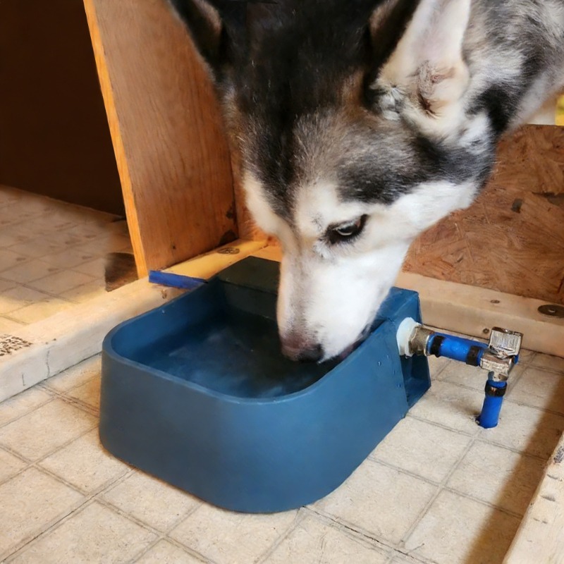 موزع مياه أوتوماتيكي للحيوانات - مراجعة Pet Supplies Unlimited وسعره