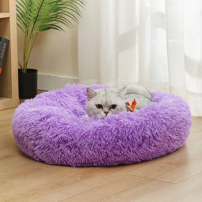 سرير كلب قطني للحفلات، فاخر وع - مراجعة Pet Supplies Australia وسعره